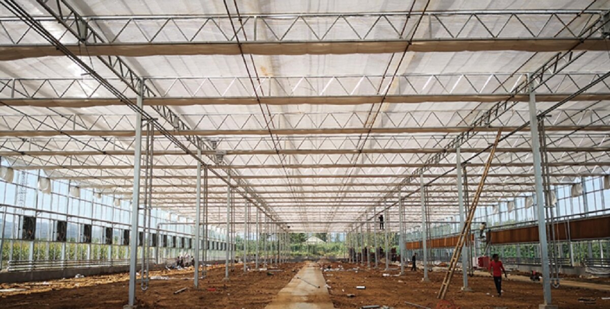 信橋鋼構(gòu)：打卡蒙陰農(nóng)業(yè)溫室大棚、青州黑牛養(yǎng)殖基地！(圖3)