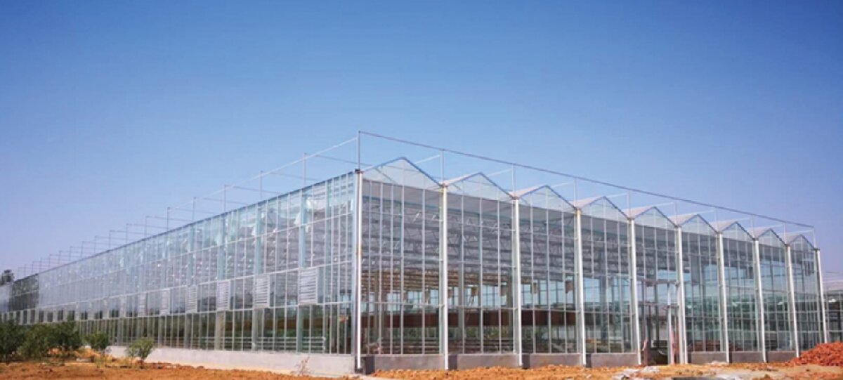 信橋鋼構(gòu)：打卡蒙陰農(nóng)業(yè)溫室大棚、青州黑牛養(yǎng)殖基地！(圖2)